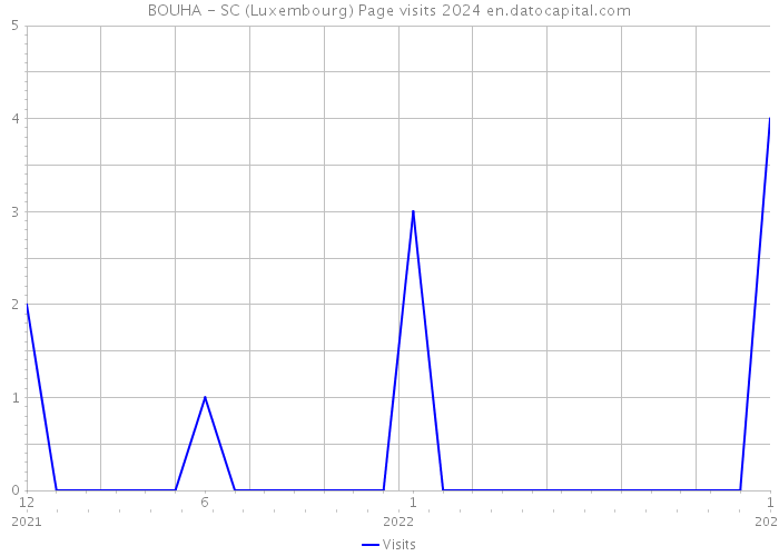 BOUHA - SC (Luxembourg) Page visits 2024 