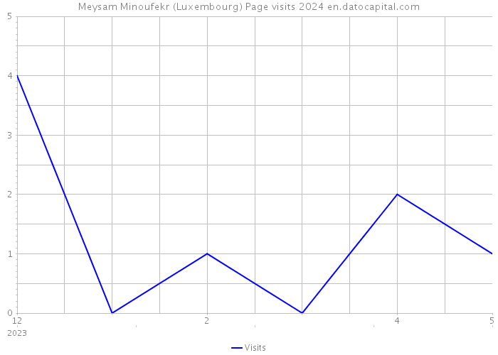 Meysam Minoufekr (Luxembourg) Page visits 2024 