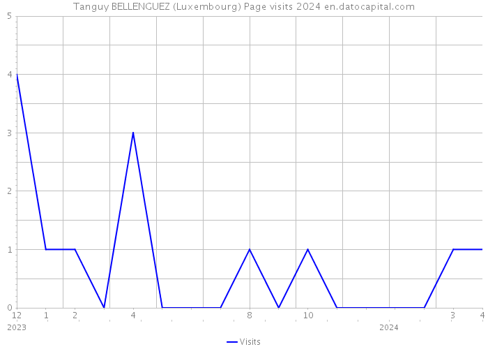 Tanguy BELLENGUEZ (Luxembourg) Page visits 2024 