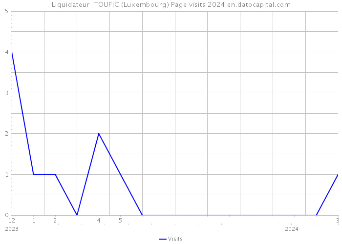 Liquidateur TOUFIC (Luxembourg) Page visits 2024 