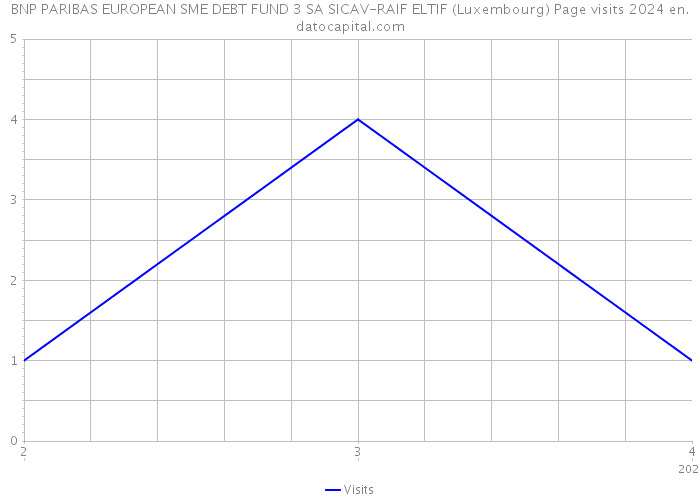 BNP PARIBAS EUROPEAN SME DEBT FUND 3 SA SICAV-RAIF ELTIF (Luxembourg) Page visits 2024 