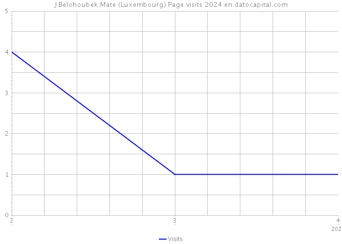 J Belohoubek Mate (Luxembourg) Page visits 2024 