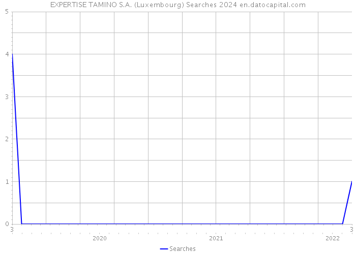 EXPERTISE TAMINO S.A. (Luxembourg) Searches 2024 