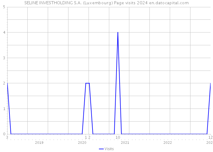 SELINE INVESTHOLDING S.A. (Luxembourg) Page visits 2024 