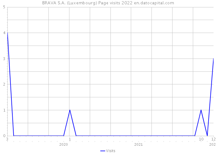 BRAVA S.A. (Luxembourg) Page visits 2022 