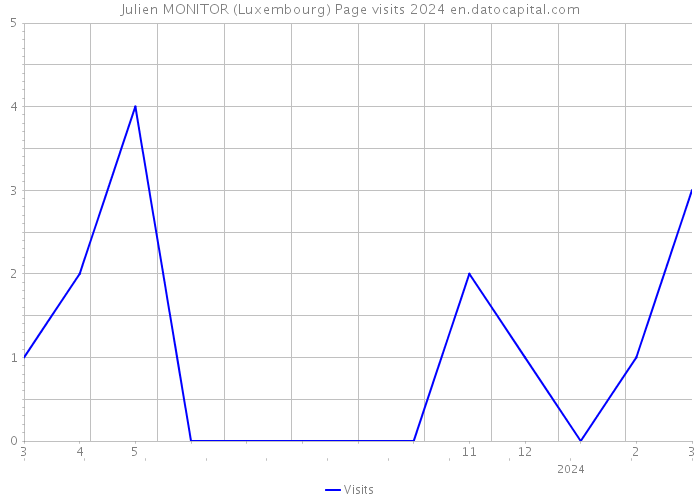 Julien MONITOR (Luxembourg) Page visits 2024 