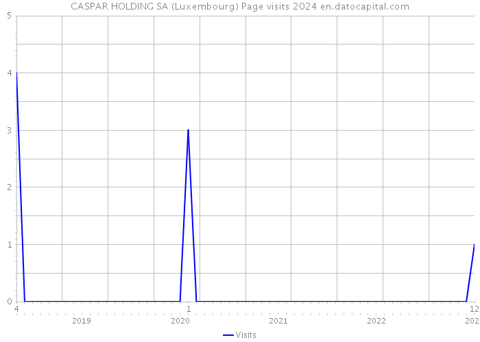 CASPAR HOLDING SA (Luxembourg) Page visits 2024 
