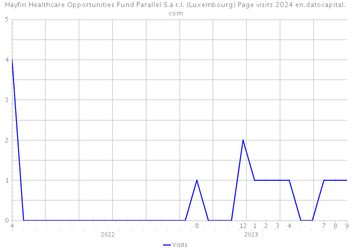 Hayfin Healthcare Opportunities Fund Parallel S.à r.l. (Luxembourg) Page visits 2024 