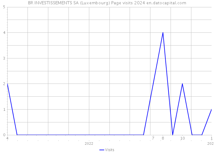 BR INVESTISSEMENTS SA (Luxembourg) Page visits 2024 