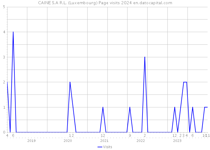 CAINE S.A R.L. (Luxembourg) Page visits 2024 