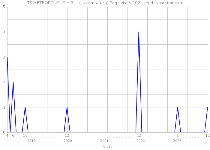 TS METROPOLIS I S.A R.L. (Luxembourg) Page visits 2024 