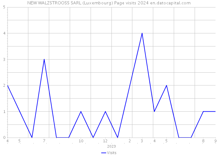 NEW WALZSTROOSS SARL (Luxembourg) Page visits 2024 