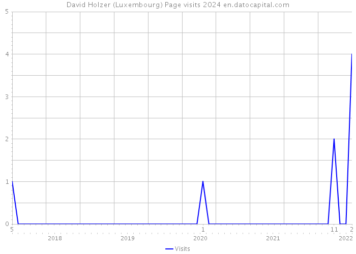 David Holzer (Luxembourg) Page visits 2024 