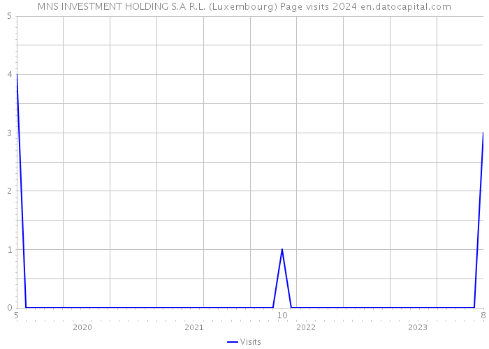 MNS INVESTMENT HOLDING S.A R.L. (Luxembourg) Page visits 2024 