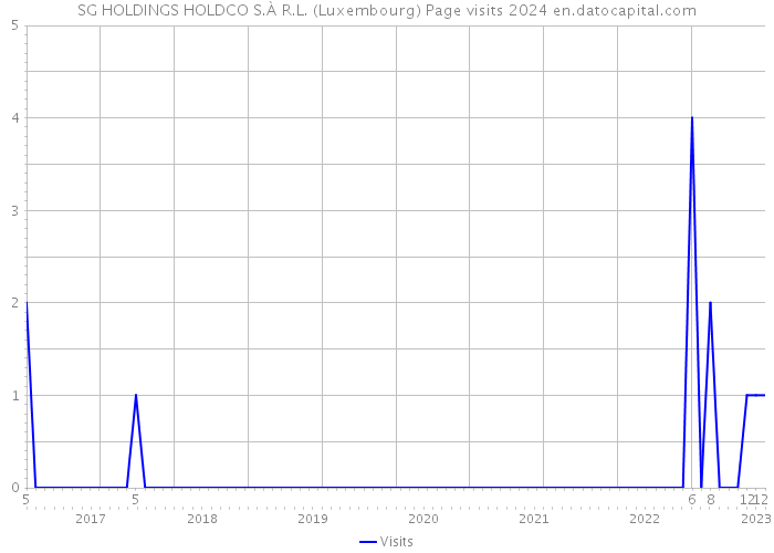 SG HOLDINGS HOLDCO S.À R.L. (Luxembourg) Page visits 2024 