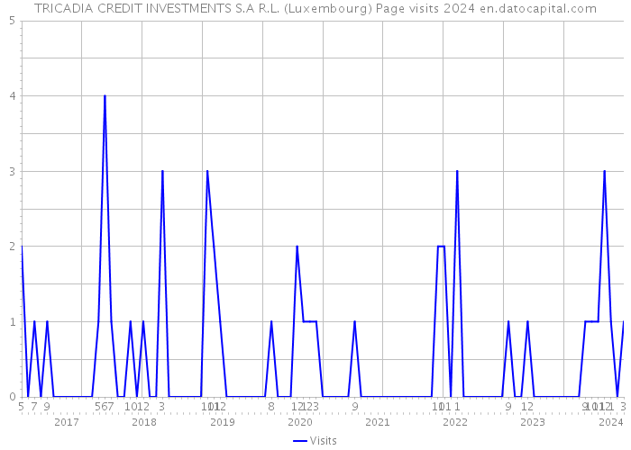 TRICADIA CREDIT INVESTMENTS S.A R.L. (Luxembourg) Page visits 2024 