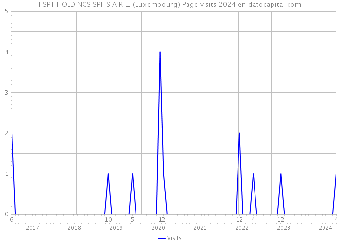 FSPT HOLDINGS SPF S.A R.L. (Luxembourg) Page visits 2024 