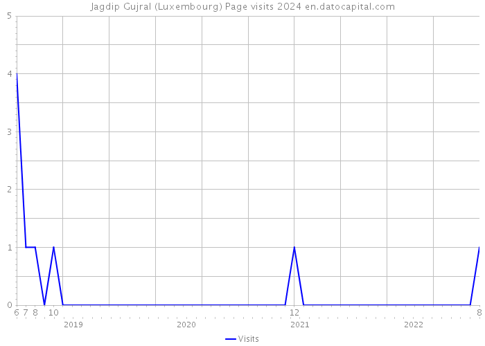 Jagdip Gujral (Luxembourg) Page visits 2024 