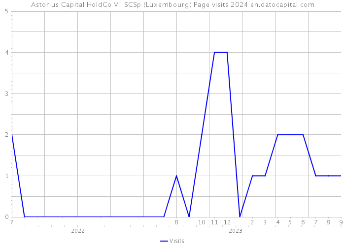 Astorius Capital HoldCo VII SCSp (Luxembourg) Page visits 2024 