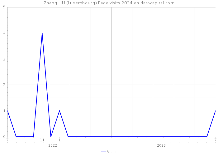 Zheng LIU (Luxembourg) Page visits 2024 