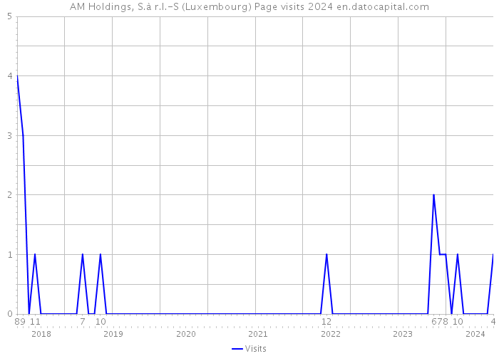 AM Holdings, S.à r.l.-S (Luxembourg) Page visits 2024 