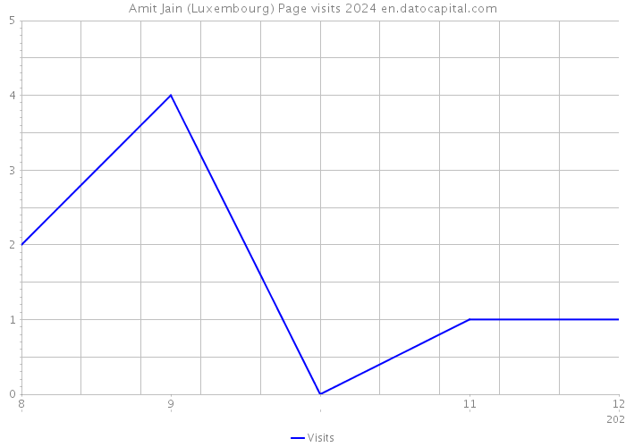 Amit Jain (Luxembourg) Page visits 2024 