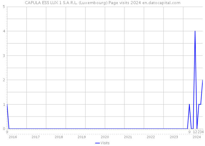 CAPULA ESS LUX 1 S.A R.L. (Luxembourg) Page visits 2024 