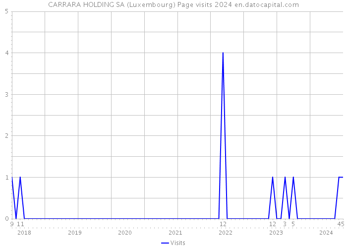 CARRARA HOLDING SA (Luxembourg) Page visits 2024 
