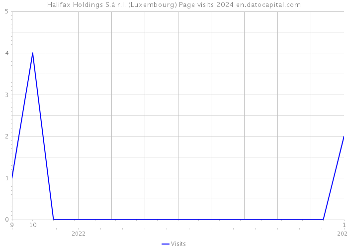 Halifax Holdings S.à r.l. (Luxembourg) Page visits 2024 