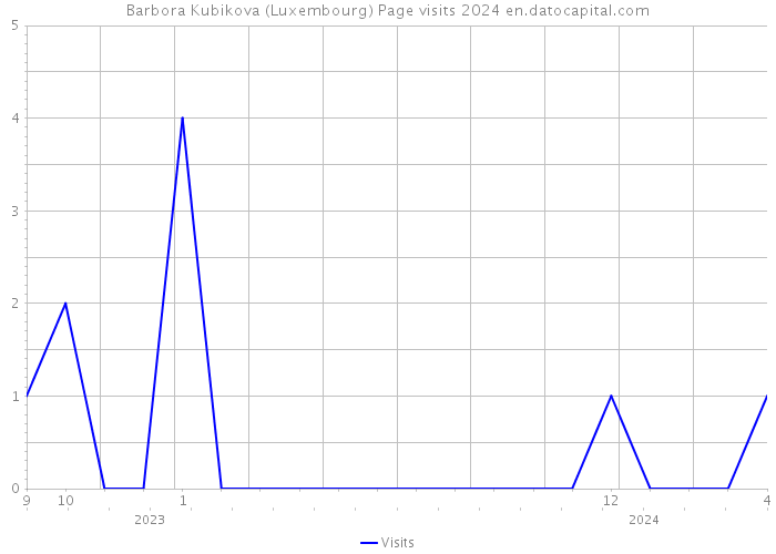 Barbora Kubikova (Luxembourg) Page visits 2024 