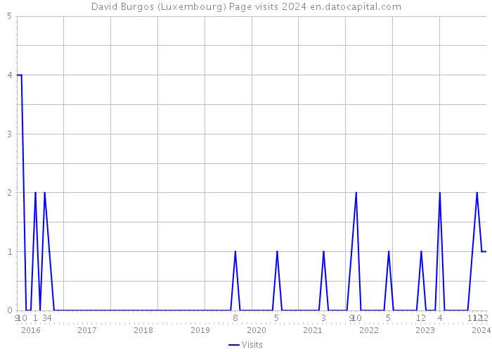 David Burgos (Luxembourg) Page visits 2024 
