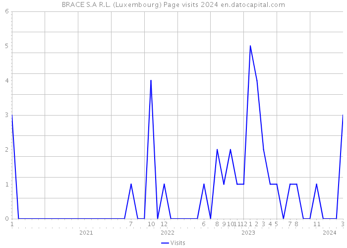 BRACE S.A R.L. (Luxembourg) Page visits 2024 