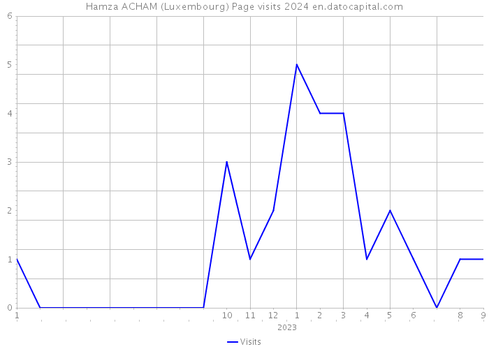 Hamza ACHAM (Luxembourg) Page visits 2024 