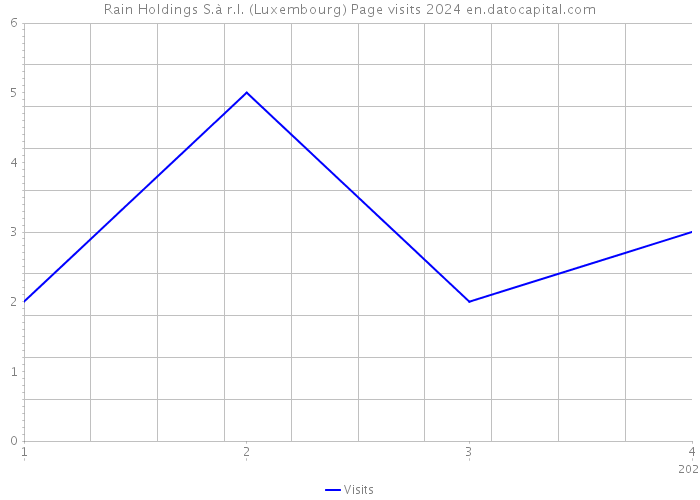 Rain Holdings S.à r.l. (Luxembourg) Page visits 2024 