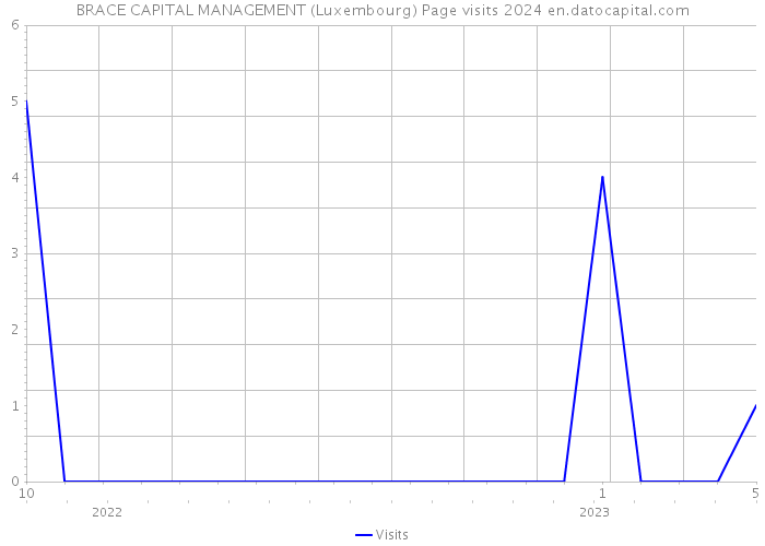 BRACE CAPITAL MANAGEMENT (Luxembourg) Page visits 2024 