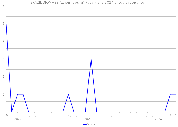BRAZIL BIOMASS (Luxembourg) Page visits 2024 