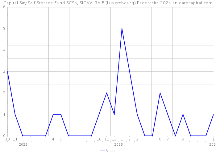 Capital Bay Self Storage Fund SCSp, SICAV-RAIF (Luxembourg) Page visits 2024 