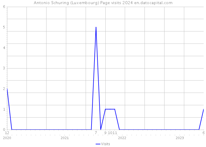 Antonio Schuring (Luxembourg) Page visits 2024 