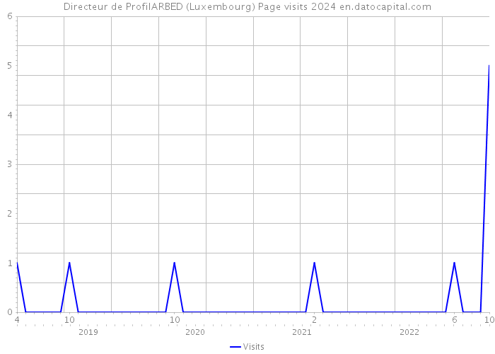 Directeur de ProfilARBED (Luxembourg) Page visits 2024 