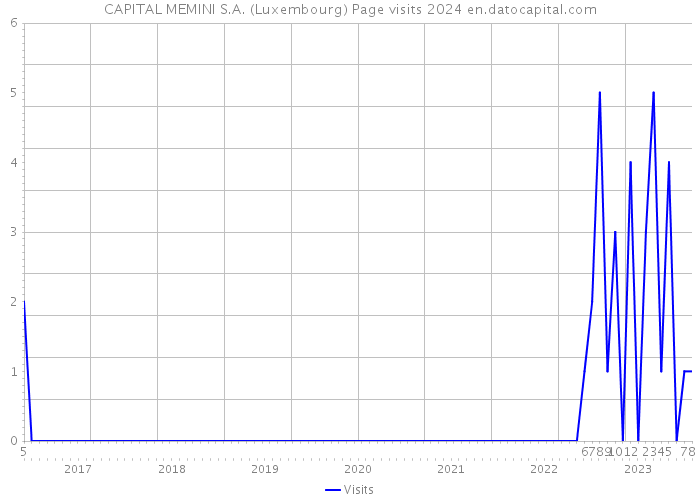 CAPITAL MEMINI S.A. (Luxembourg) Page visits 2024 