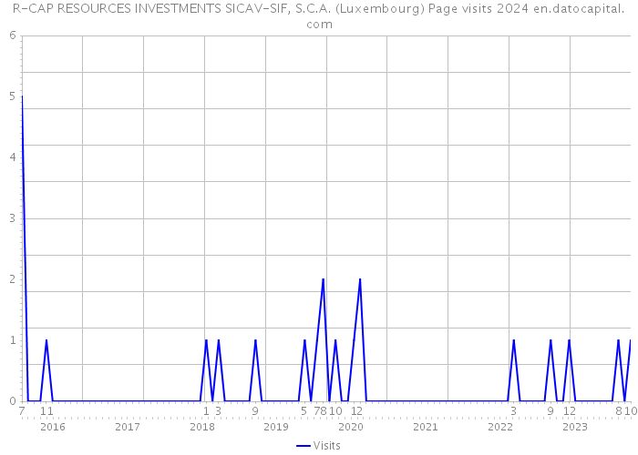 R-CAP RESOURCES INVESTMENTS SICAV-SIF, S.C.A. (Luxembourg) Page visits 2024 