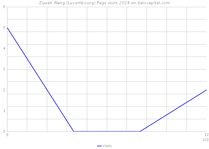 Ziyuan Wang (Luxembourg) Page visits 2024 