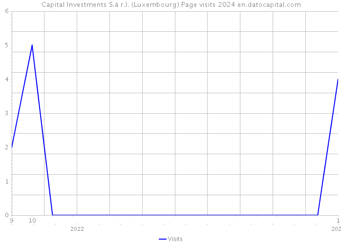 Capital Investments S.à r.l. (Luxembourg) Page visits 2024 