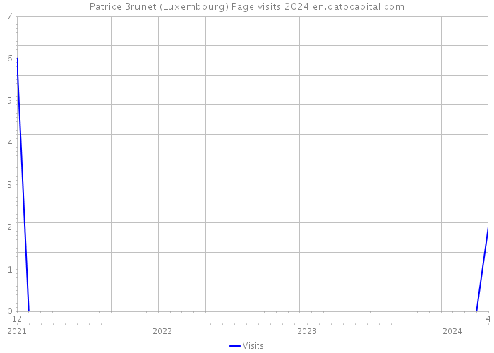 Patrice Brunet (Luxembourg) Page visits 2024 