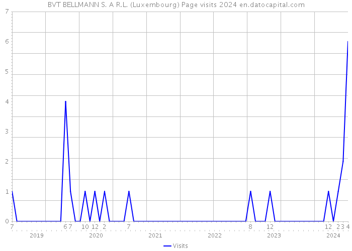 BVT BELLMANN S. A R.L. (Luxembourg) Page visits 2024 