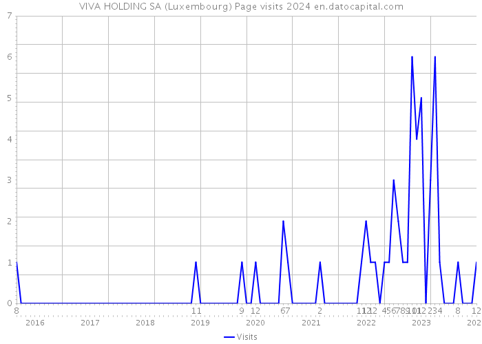 VIVA HOLDING SA (Luxembourg) Page visits 2024 