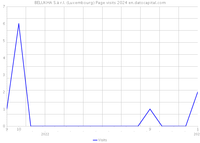 BELUKHA S.à r.l. (Luxembourg) Page visits 2024 