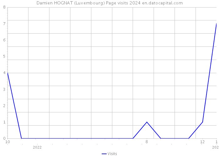 Damien HOGNAT (Luxembourg) Page visits 2024 