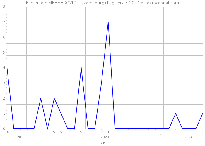Benanudin MEHMEDOVIC (Luxembourg) Page visits 2024 