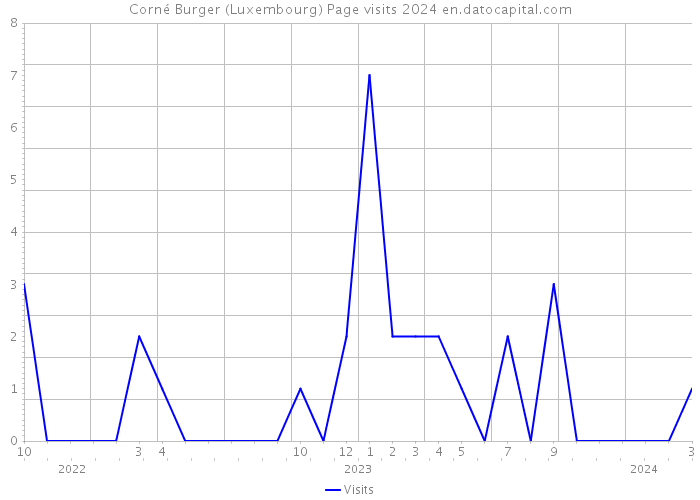 Corné Burger (Luxembourg) Page visits 2024 